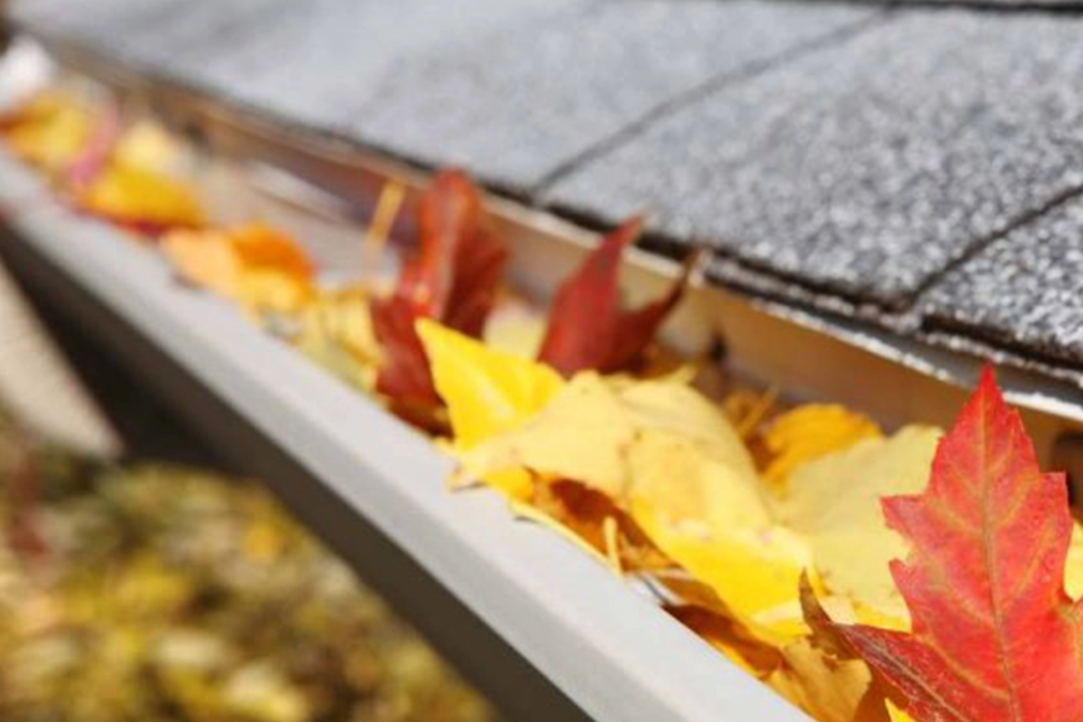 Vestavia Alabama Gutters Guards